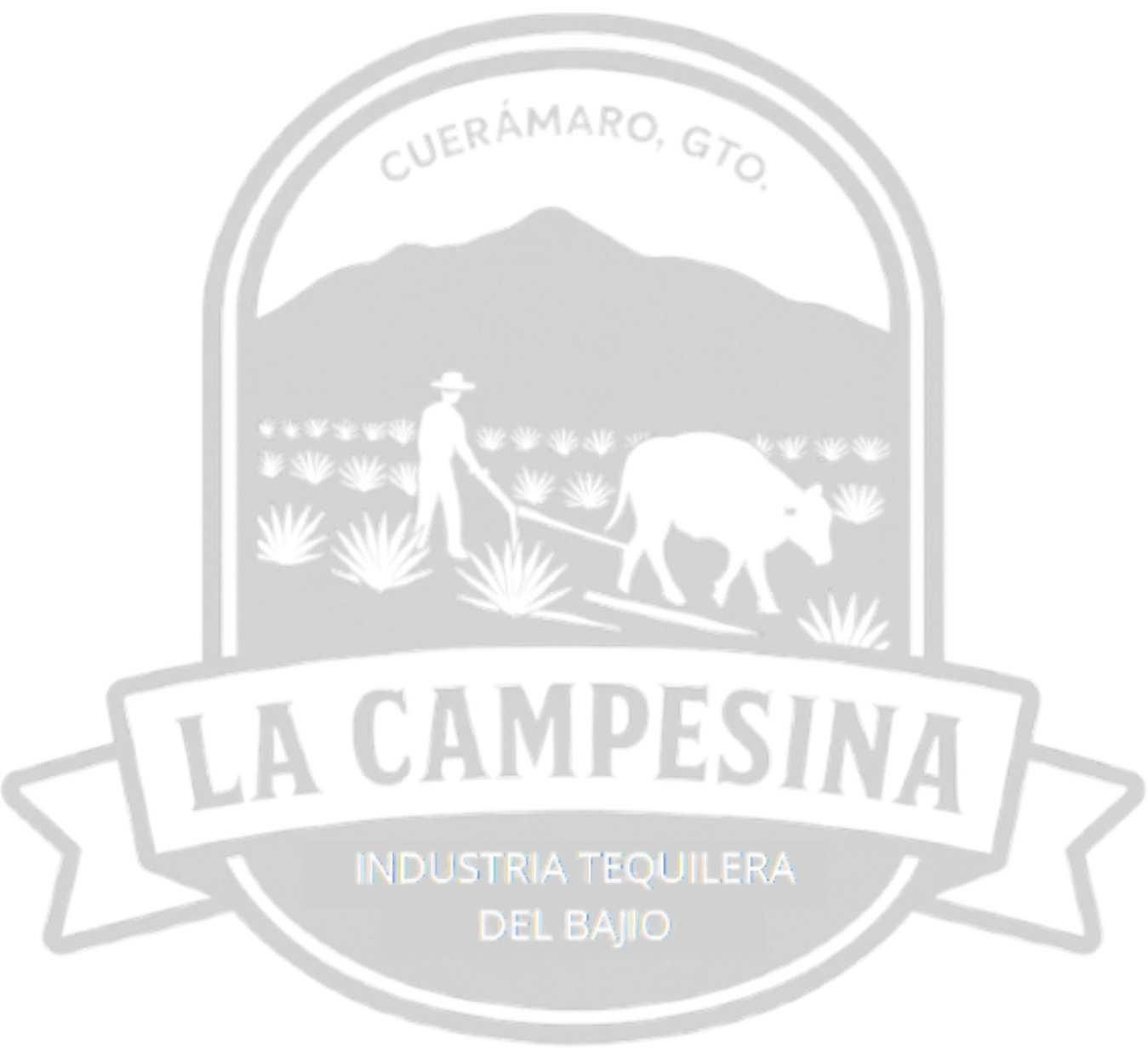 Logo La Campesina